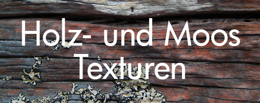 Holz Moos Texturen