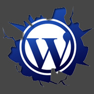 WordPress Plugins Abminbereich