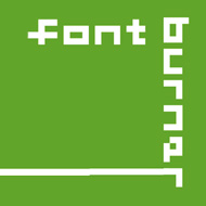Typografie WordPress Plugins