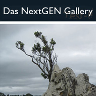 NextGEN Gallery mit Lightbox-Effekt