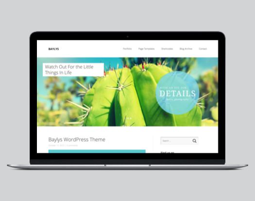 Baylys WordPress Business Portfolio Theme