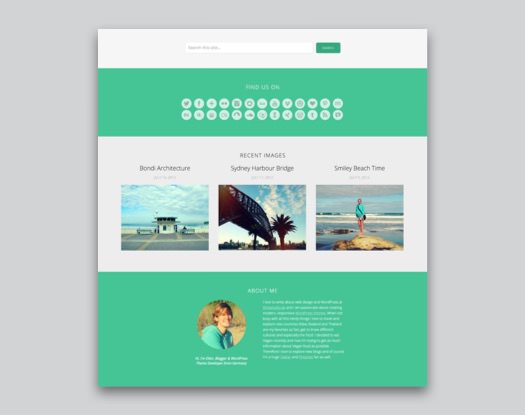 Meola WordPress Blog Theme