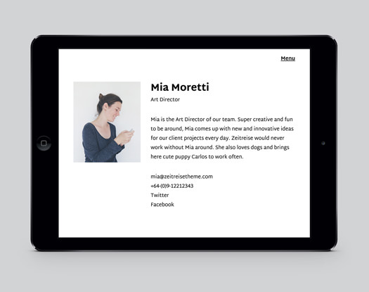 Zeitreise WordPress Business Portfolio Theme