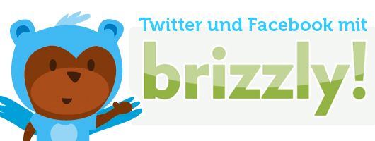 Twitter und Facebook mit Brizzly