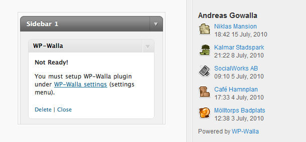 Social Network Widgets