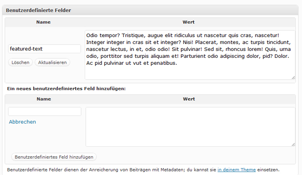 WordPress benutzerdefinierte Felder