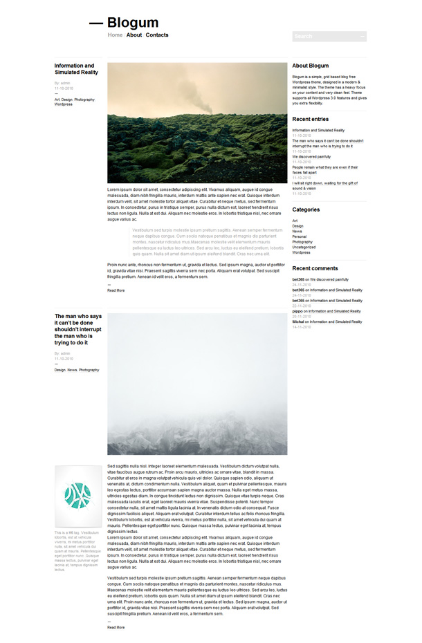 minimalistische WordPress Blog Themes