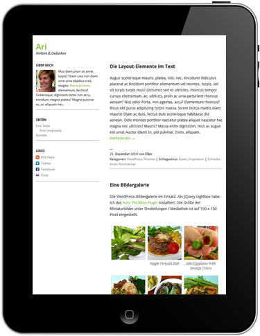 Ari WordPress-Theme