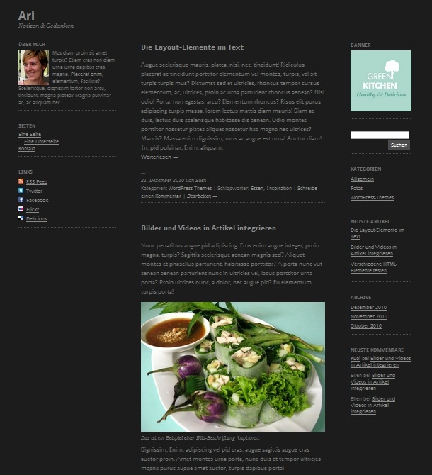 Ari WordPress-Theme