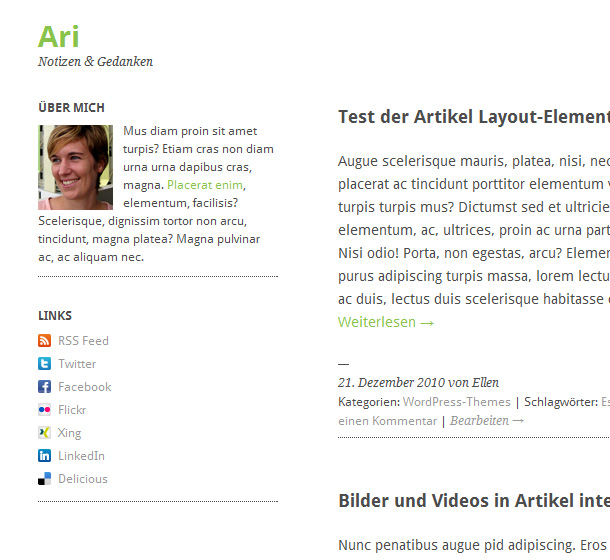 Ari WordPress-Theme