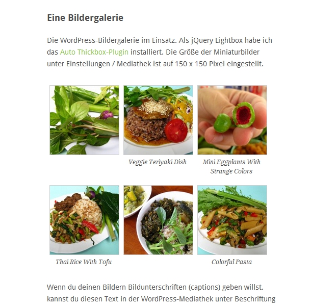 WordPress-Theme Ari mit Bildergalerie