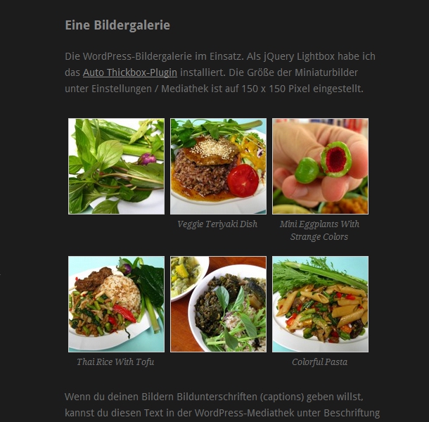 WordPress-Theme Ari mit Bildergalerie