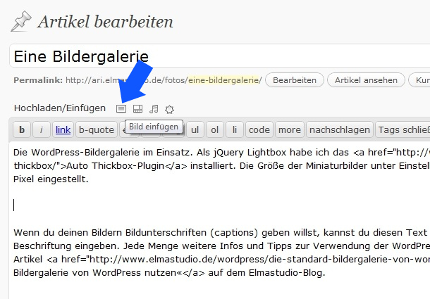 WordPress-Theme Ari mit Bildergalerie