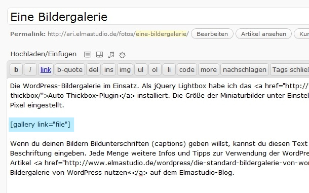 WordPress-Theme Ari mit Bildergalerie