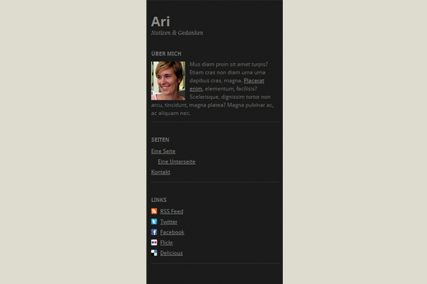 Ari WordPress Theme Updates