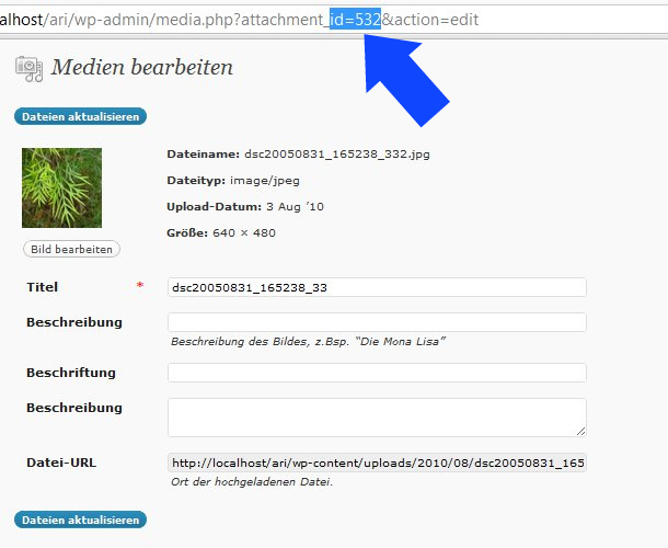 WordPress Bildergalerie nutzen