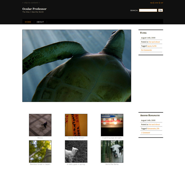 WordPress Themes Fotografie