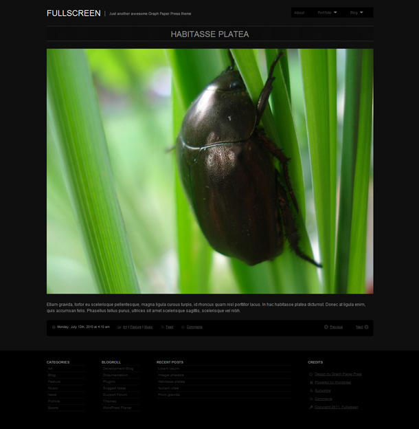 WordPress Themes Fotografie