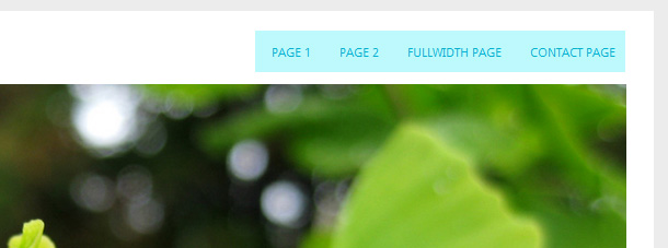 Yoko WordPress Theme