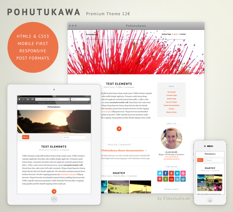 Premium responsive WordPress Theme Pohutukawa by Elmastudio