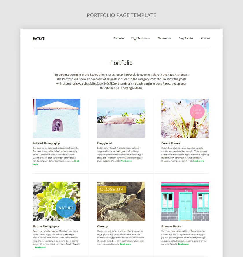 Baylys Portfolio Page Template