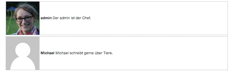 Mit dem Co-Author-Plus-Plugin können auch mehrere Autorenboxen hintereinander dargestellt werden, zum Beispiel mit Beschreibungen zu den Autoren, die in diesem Fall nicht unbedingt Sinn geben. 