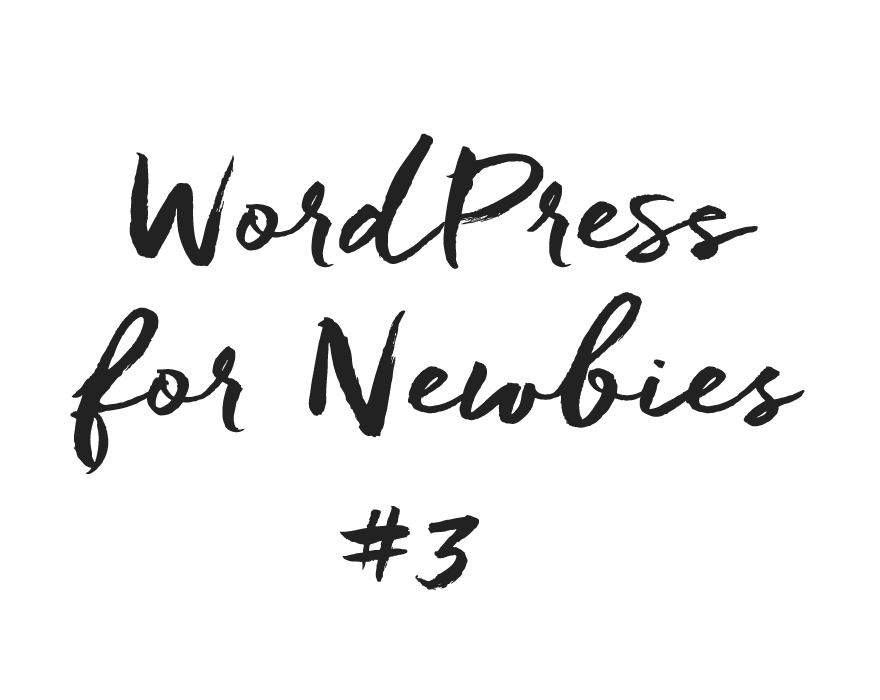 WordPress für Newbies #3: Ein Premium Theme installieren