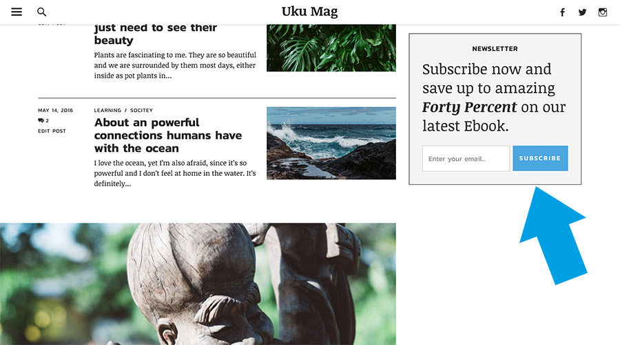 Fix-positioned Mailchimp newsletter widget.