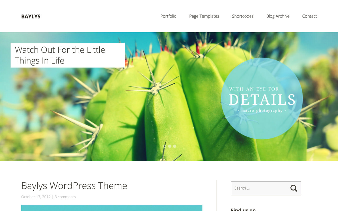 Baylys WordPress Theme