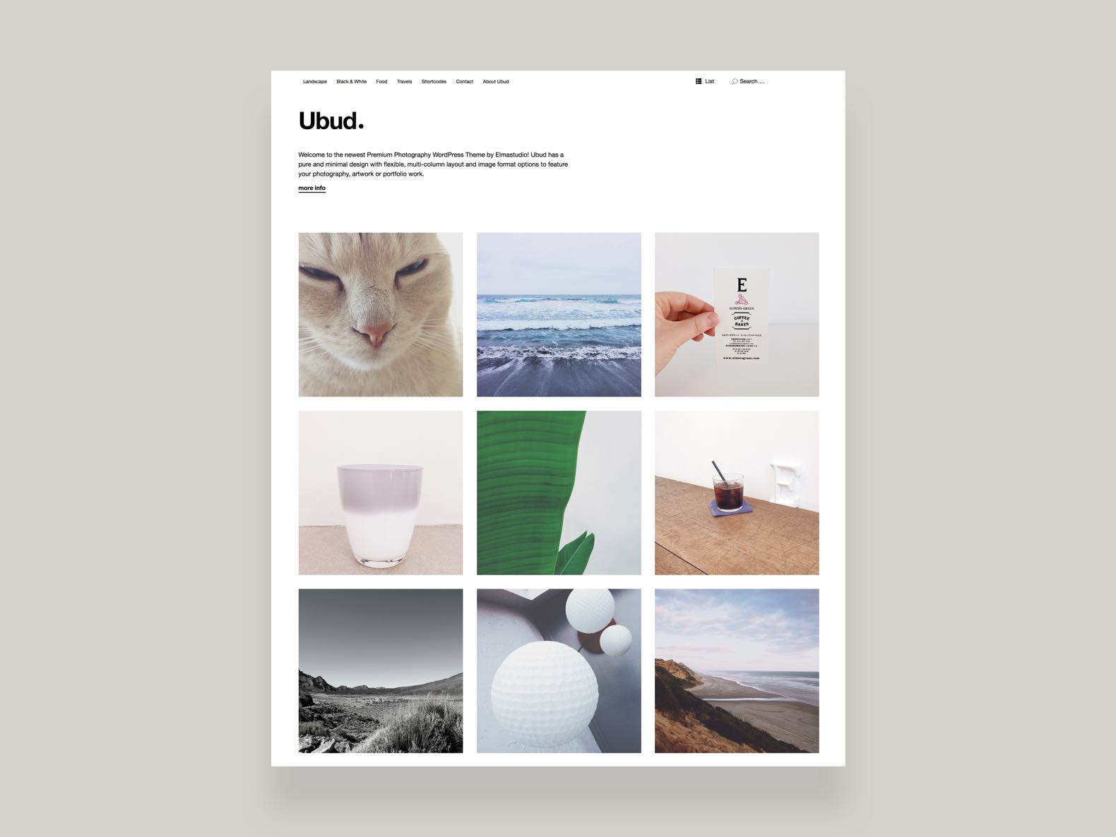 Ubud WordPress Photography Blog Theme