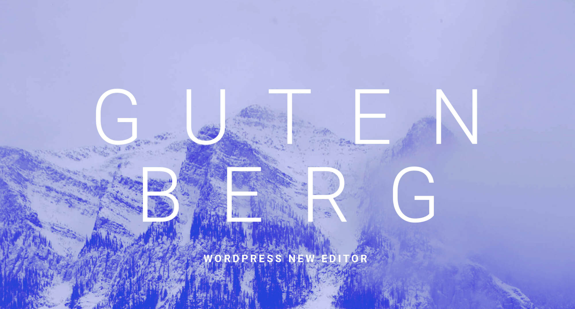 What You Should Know About The Gutenberg WordPress Editor