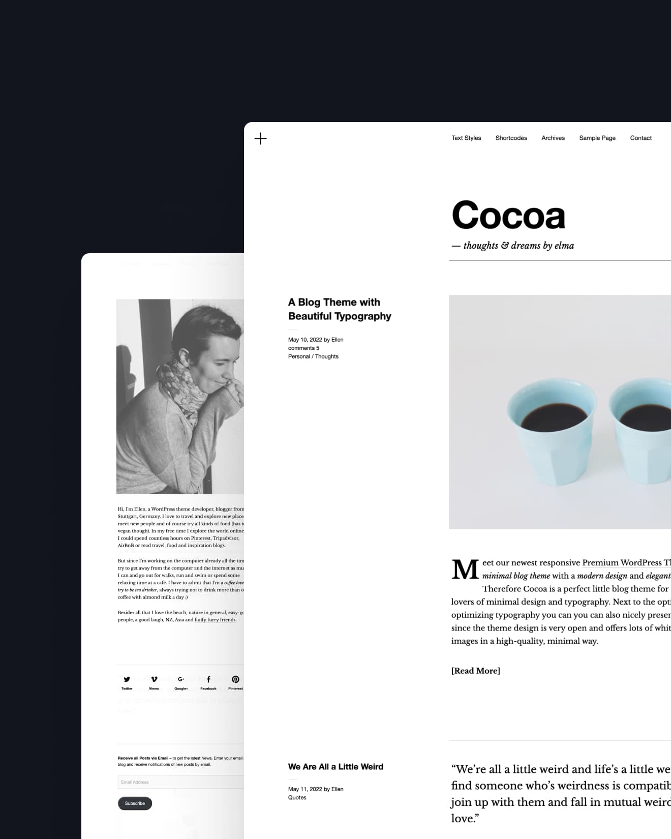 WordPress Theme Blogger