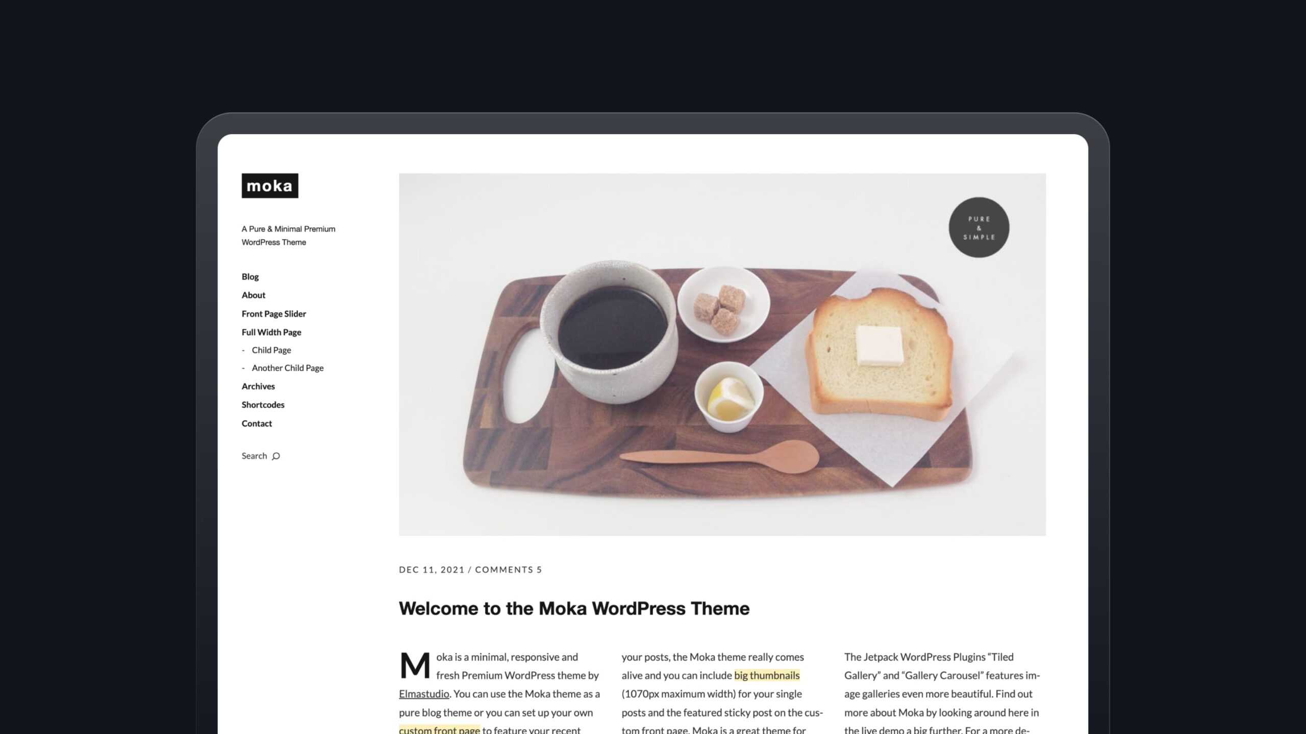 WordPress Blog Theme